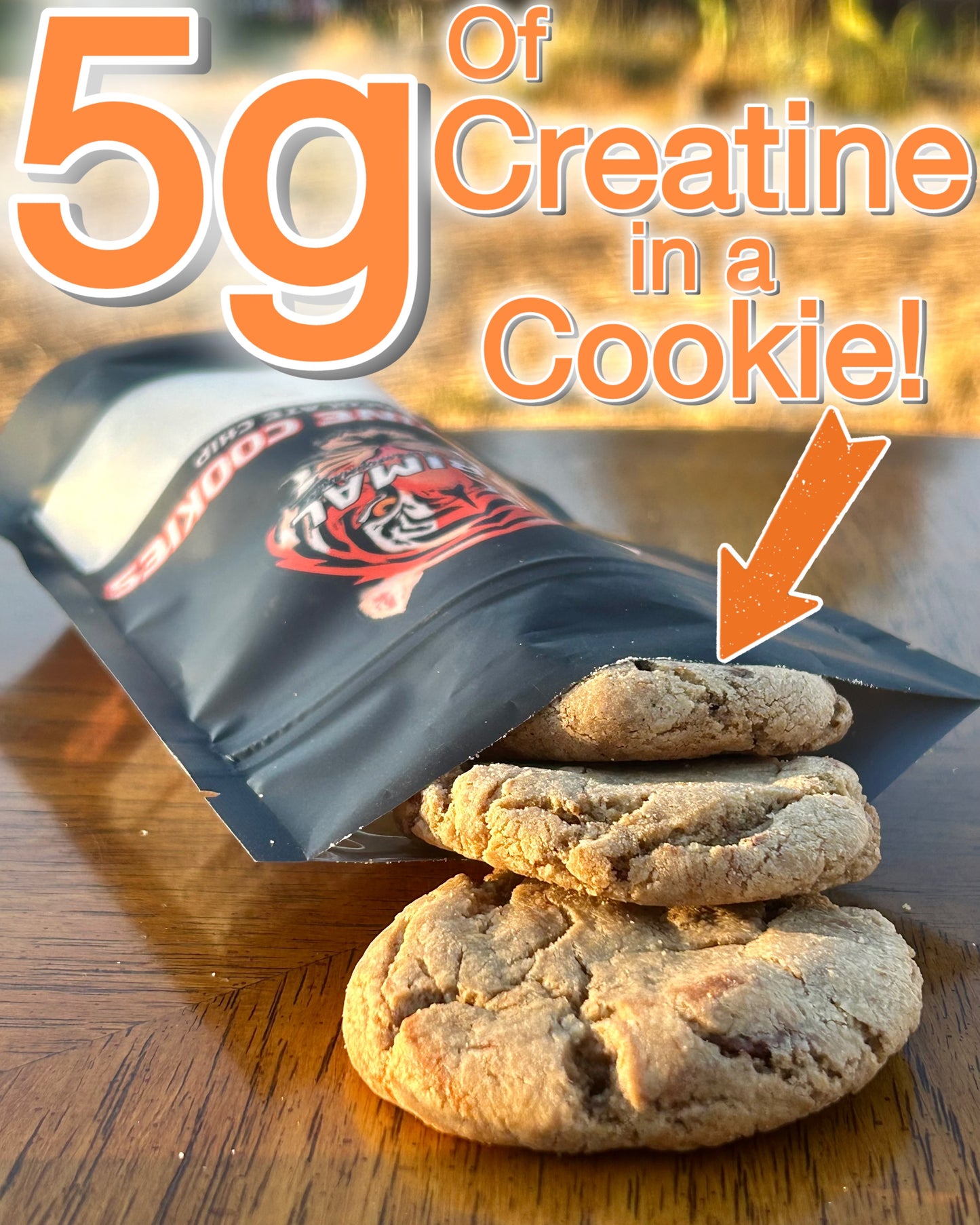 Chocolate Chip Creatine Cookies (Qty: 6)